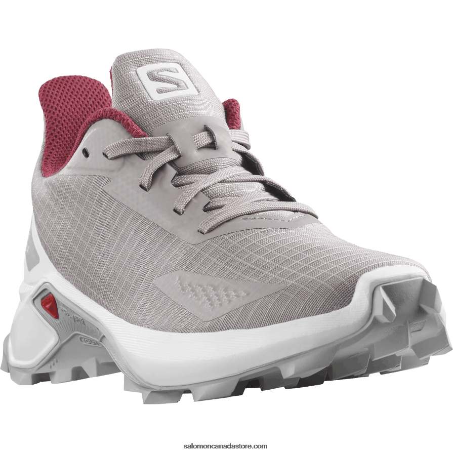 Junior - Kids\' Shoes - Alphacross Blast Salomon Quail/White/Pearl Blue X6B4FZ1350