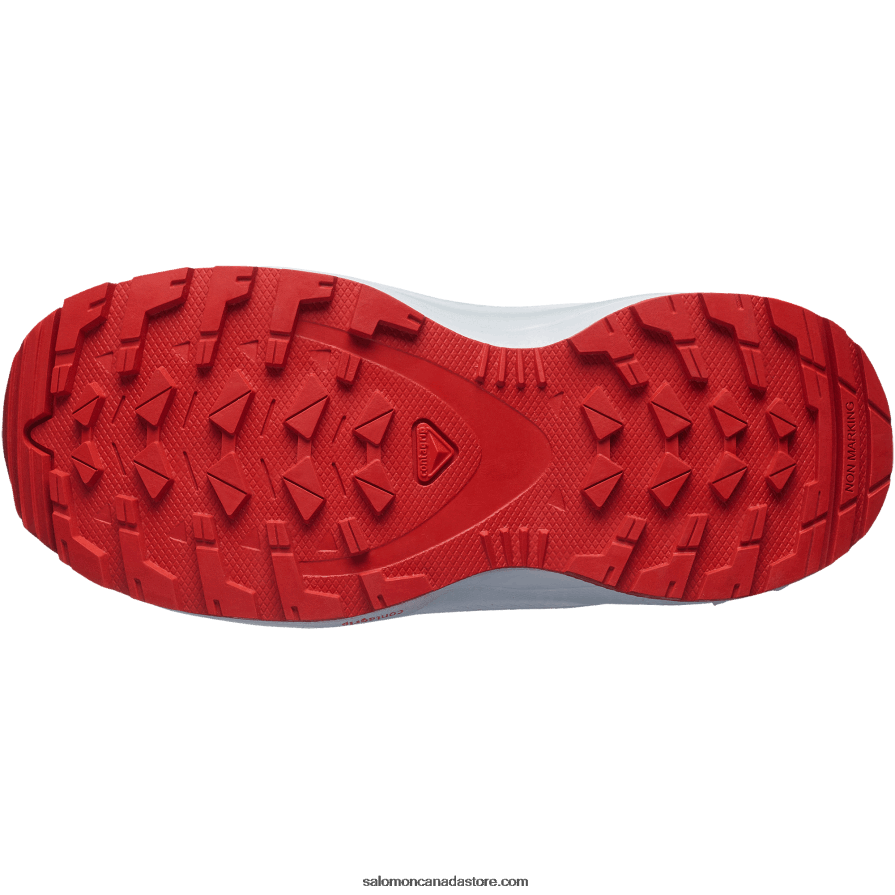 Junior - Kids\' Shoes - Xa Pro V8 Salomon Stormy Weather/Zen Blue/Goji Berry X6B4FZ1363