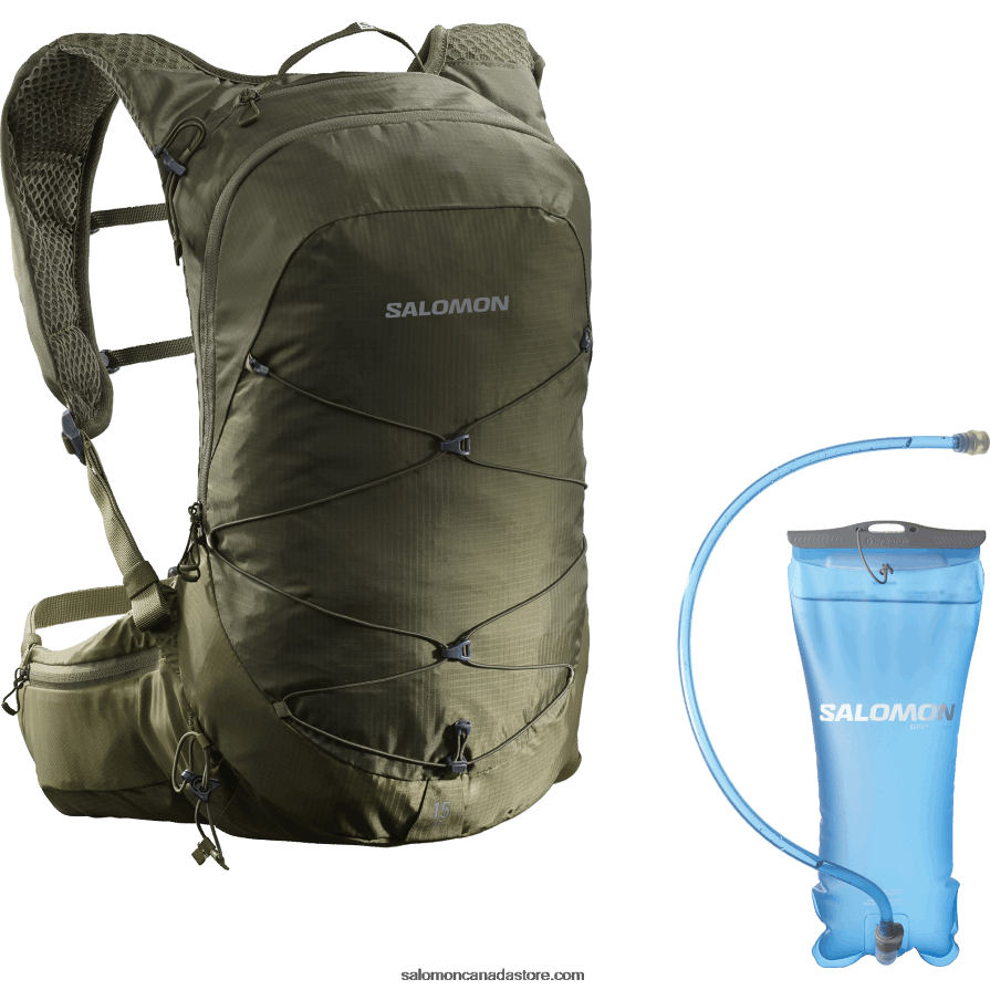 Olive Night/Martini Olive