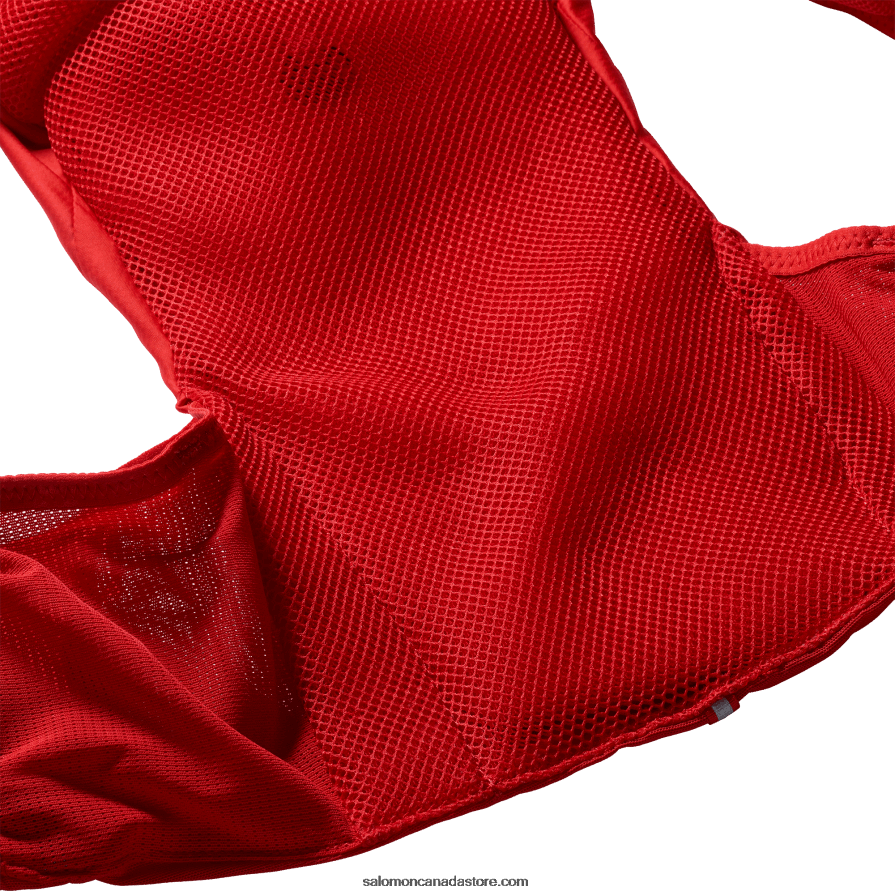 Men\'s Running Vest with flasks included - Adv Skin 5 Salomon Goji Berry/Ebony X6B4FZ320