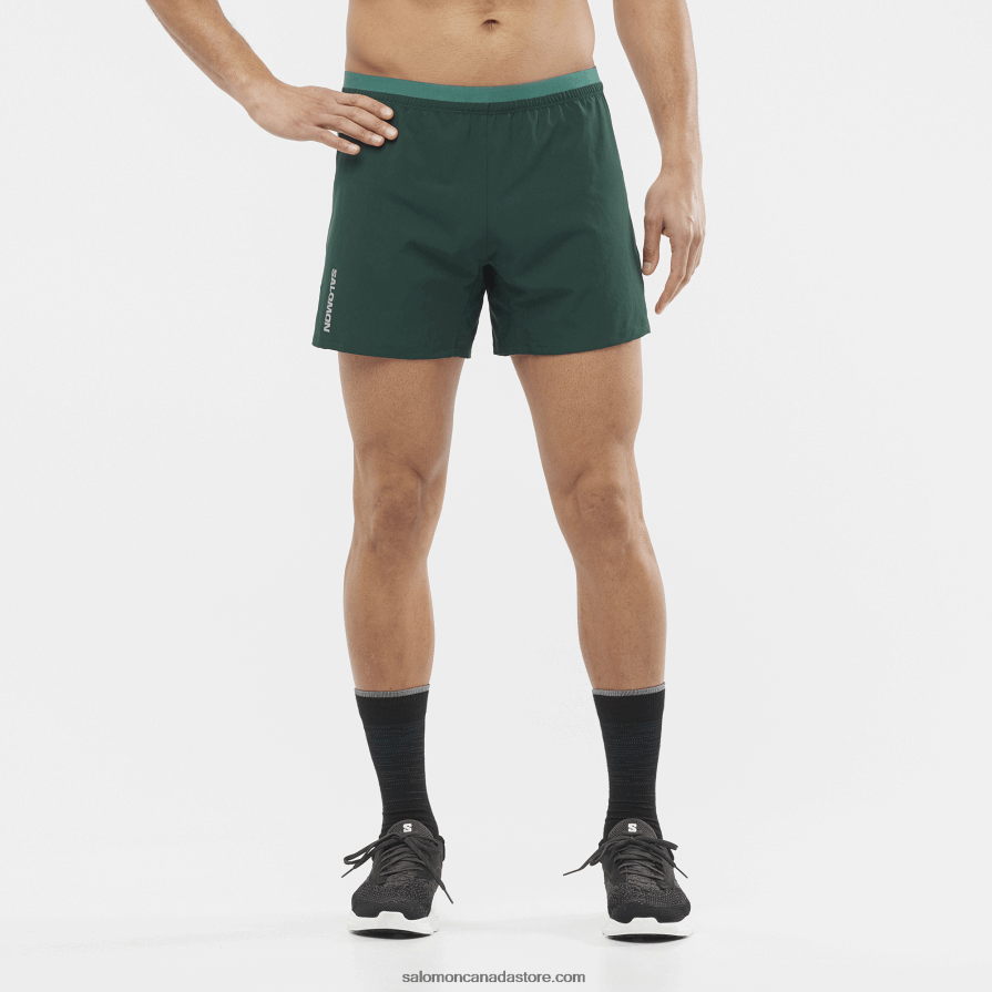 Men's Shorts - Cross 5 Salomon Ponderosa Pine X6B4FZ274