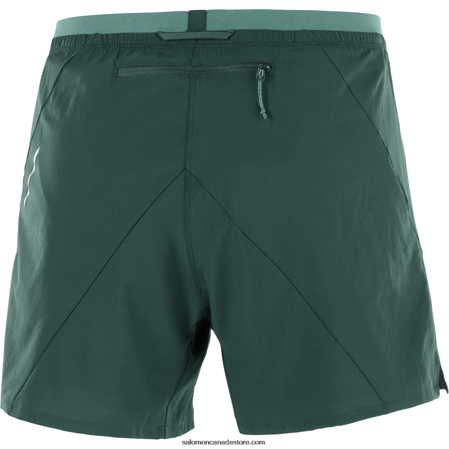 Men\'s Shorts - Cross 5 Salomon Ponderosa Pine X6B4FZ274