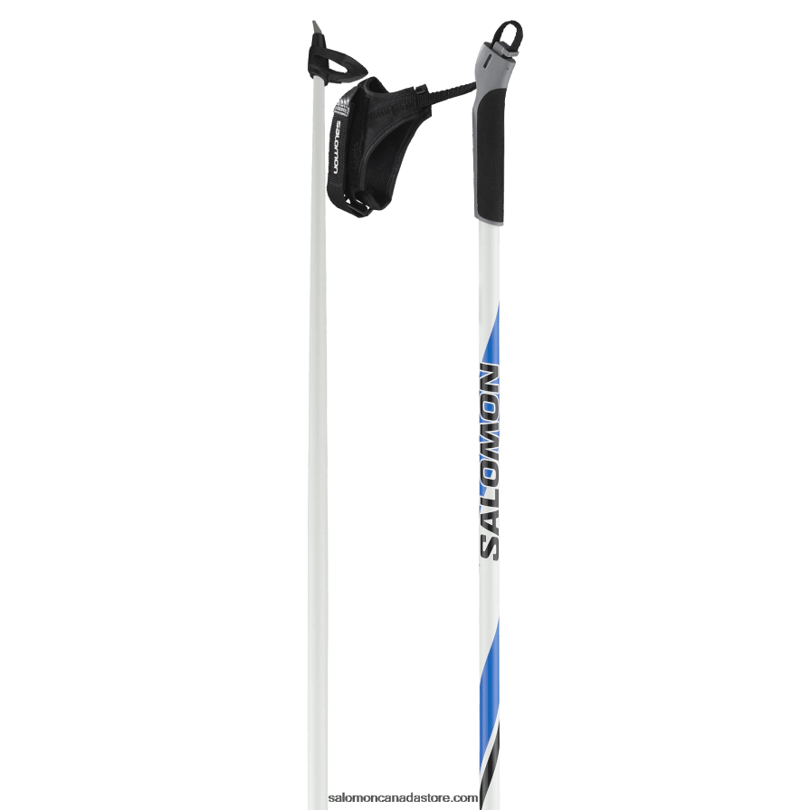 Men's Skating Classic Nordic Poles - R 20 Salomon L41155000 X6B4FZ729
