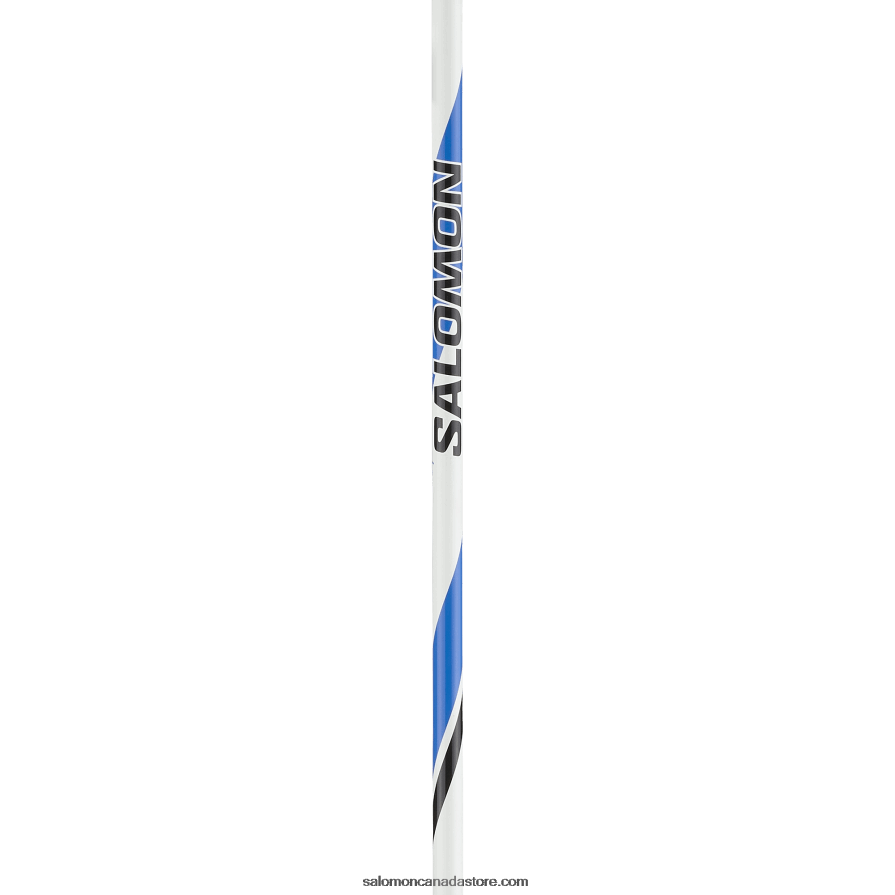 Men\'s Skating Classic Nordic Poles - R 20 Salomon L41155000 X6B4FZ729