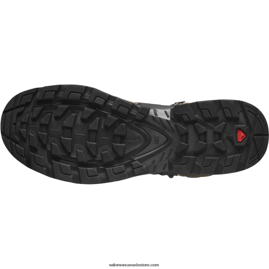 Men\'s Leather Hiking Boots - Quest 4 Gore-Tex Salomon Desert Palm/Black/Kelp X6B4FZ6