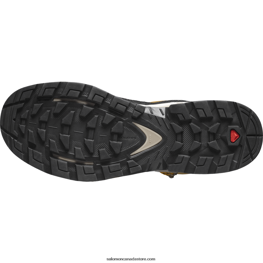 Men\'s Leather Hiking Boots - Quest Element Gore-Tex Salomon Cumin/Bleached Sand/Saffron X6B4FZ50