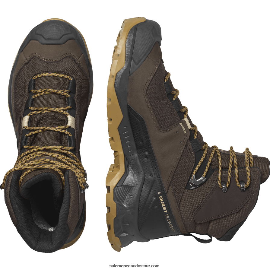 Men\'s Leather Hiking Boots - Quest Element Gore-Tex Salomon Delicioso/Black/Dull Gold X6B4FZ49