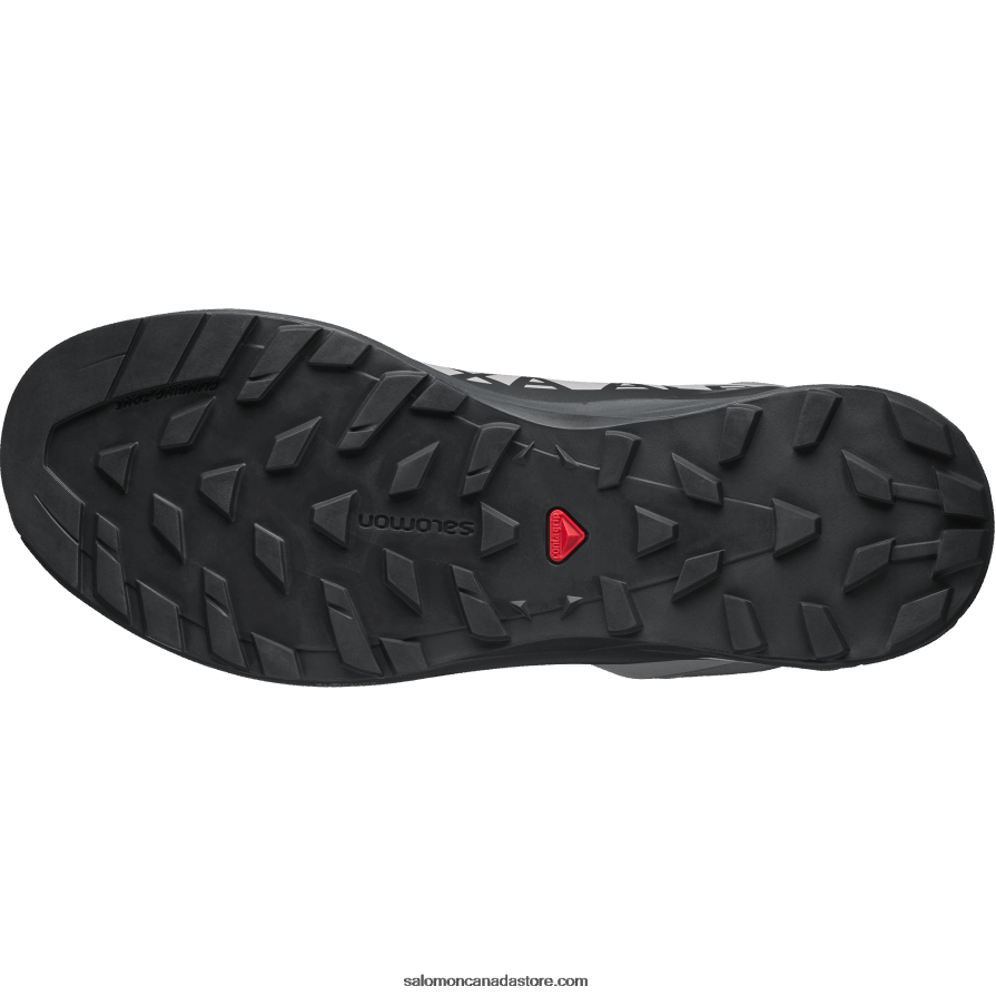 Men\'s Sportstyle Shoes - Xa Alpine 2 Advanced Salomon Gull/Phantom/Arctic Ice X6B4FZ201