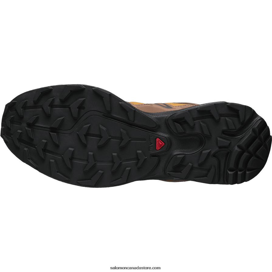 Men\'s Sportstyle Shoes - Xt-6 Expanse 75Th Salomon Golden Oak/Acorn/Black X6B4FZ225