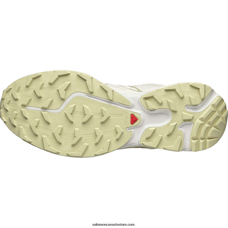 Men\'s Sportstyle Shoes - Xt-6 Expanse Cottage Core Salomon Vanilla Ice/Desert Sage/Taffy X6B4FZ142