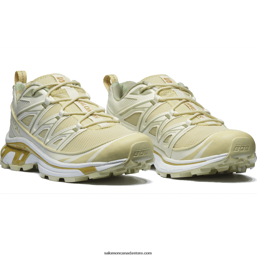 Men\'s Sportstyle Shoes - Xt-6 Expanse Cottage Core Salomon Vanilla Ice/Desert Sage/Taffy X6B4FZ142