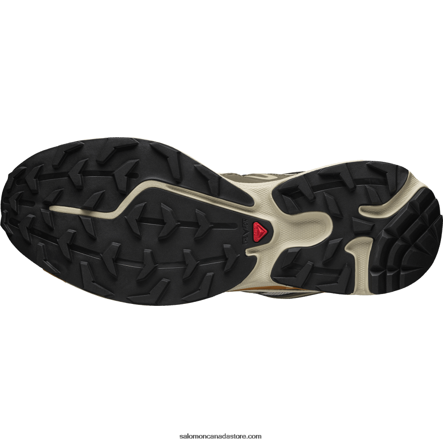 Men\'s Sportstyle Shoes - Xt-6 Expanse Salomon Feather Gray/Delicioso/Golden Oak X6B4FZ99