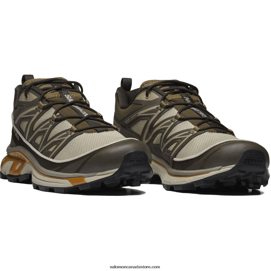 Men\'s Sportstyle Shoes - Xt-6 Expanse Salomon Feather Gray/Delicioso/Golden Oak X6B4FZ99