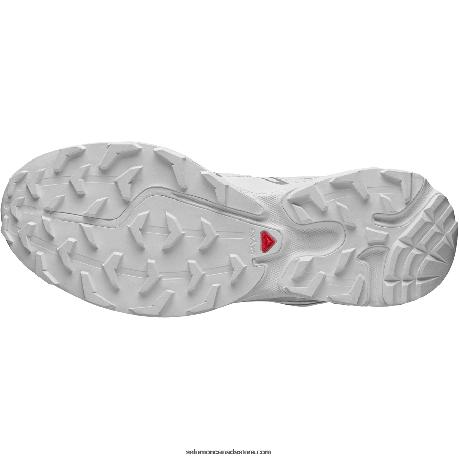 Men\'s Sportstyle Shoes - Xt-6 Expanse Salomon Vanilla Ice/White/Alloy X6B4FZ102