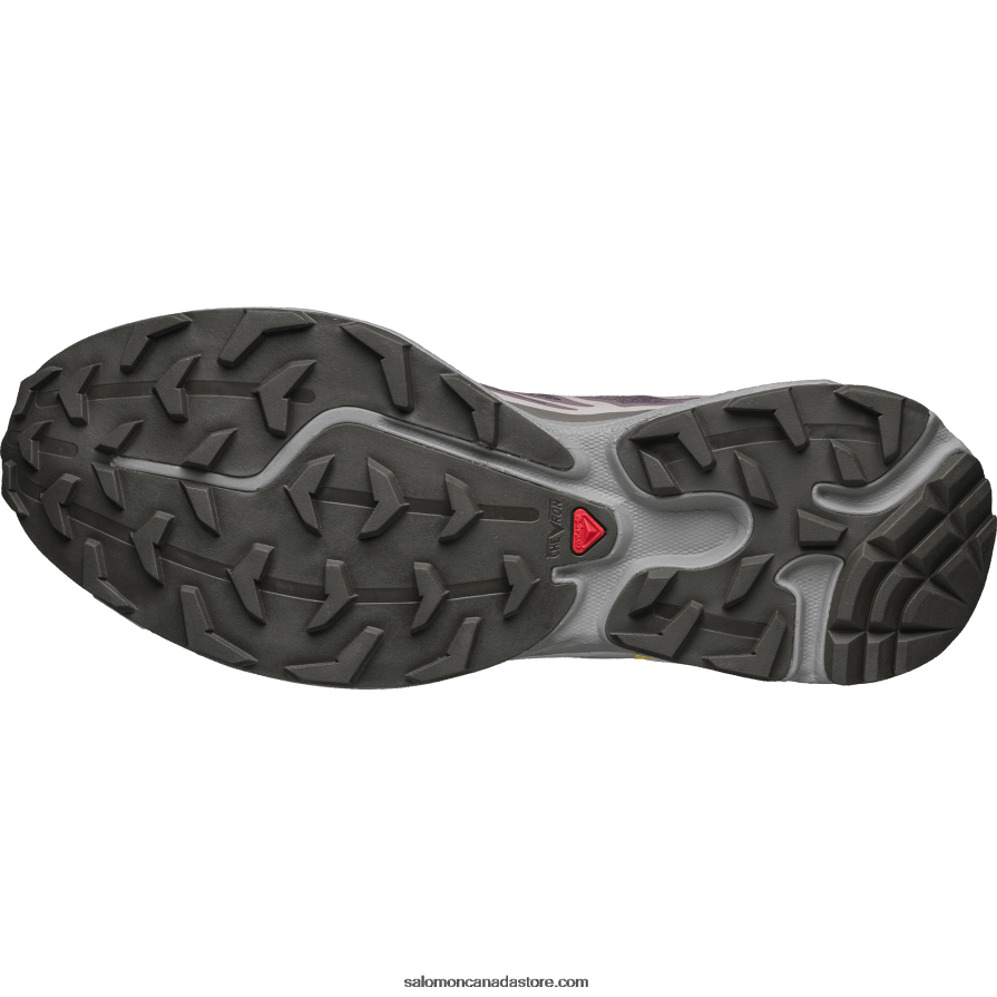 Men\'s Sportstyle Shoes - Xt-6 Salomon Moonscape/Plum Kitten/Gull X6B4FZ79