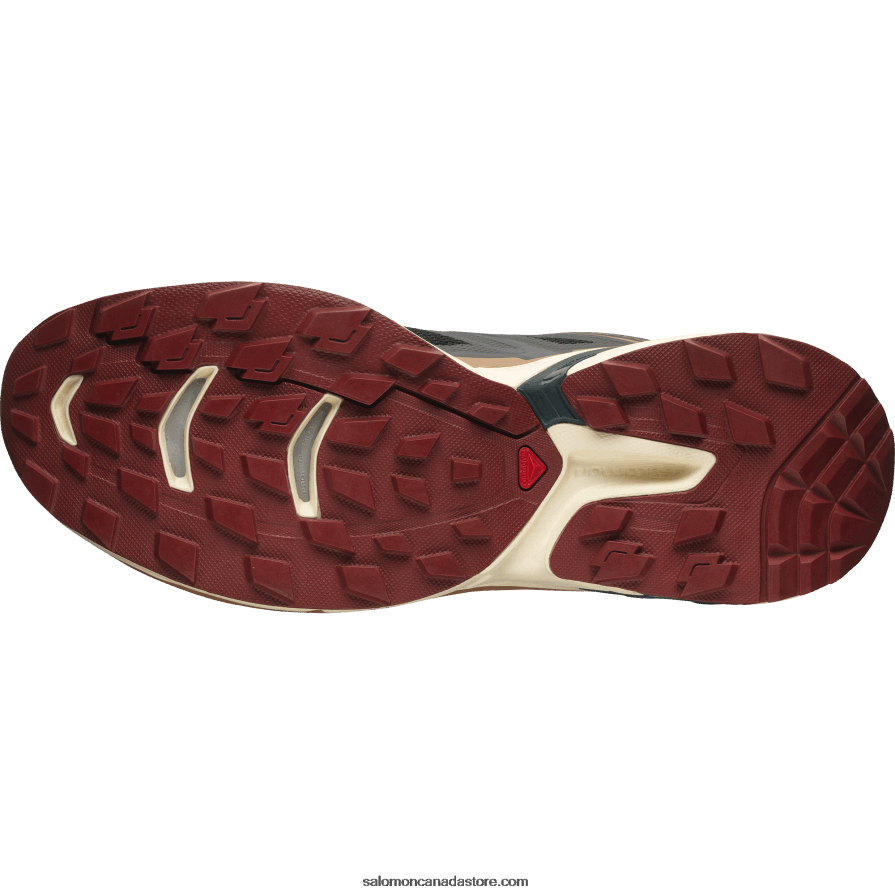 Men\'s Sportstyle Shoes - Xt-Wings 2 Salomon Black/Bleached Sand/Ponderosa Pine X6B4FZ197