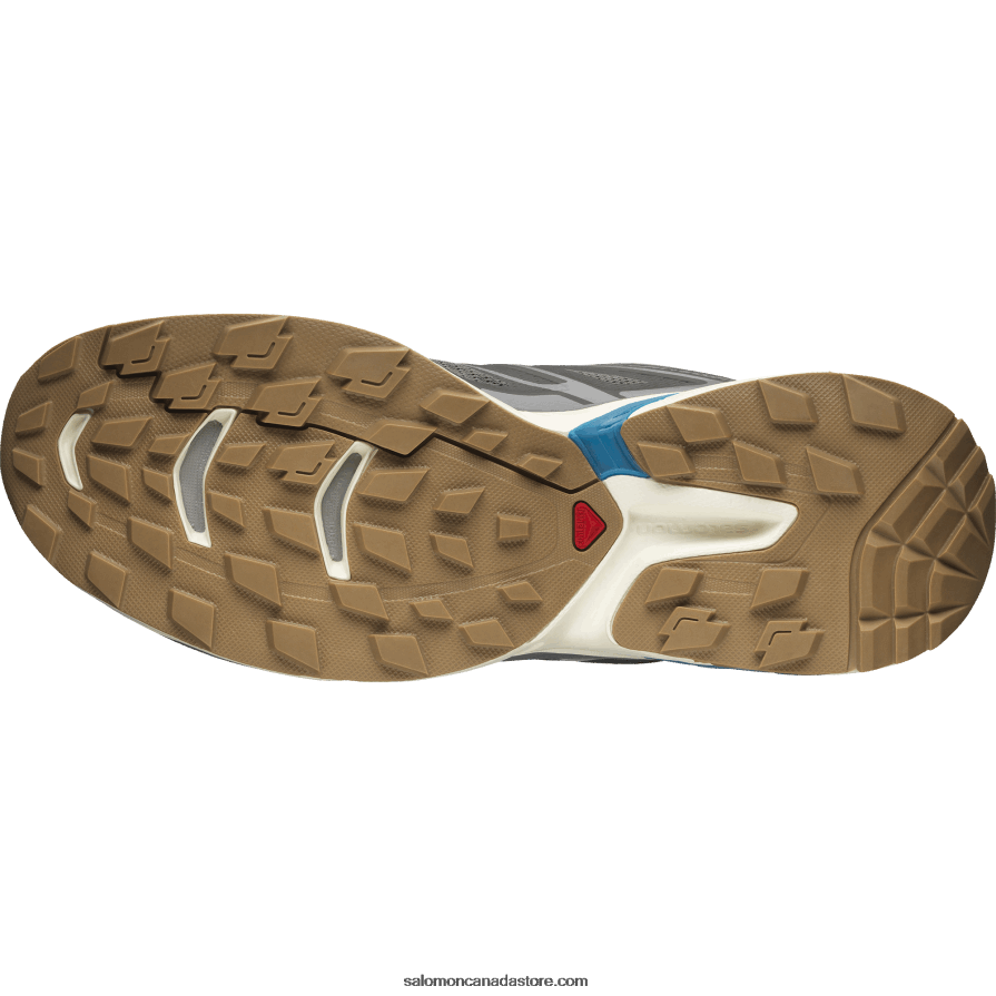 Men\'s Sportstyle Shoes - Xt-Wings 2 Salomon Quiet Shade/Vanilla Ice/Blue Aster X6B4FZ191