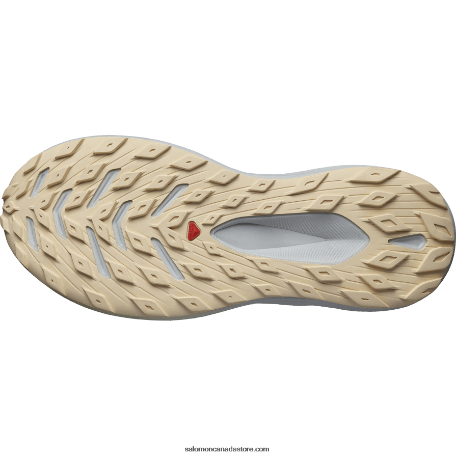 Men\'s Trail Running Shoes - Glide Max Tr Salomon Quiet Shade/Pearl Blue/Bleached Sand X6B4FZ1449