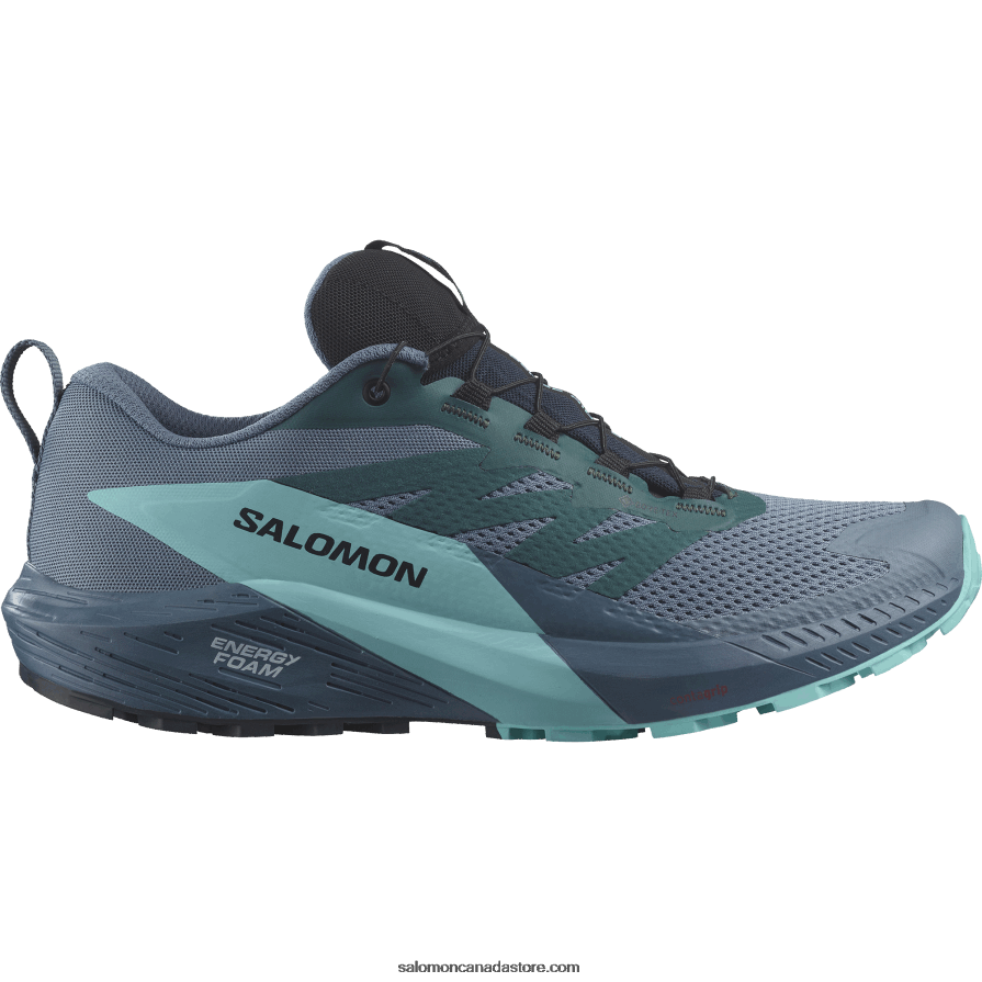Men's Trail Running Shoes - Sense Ride 5 Gore-Tex Salomon Carbon/Blue Radiance/China Blue X6B4FZ1445