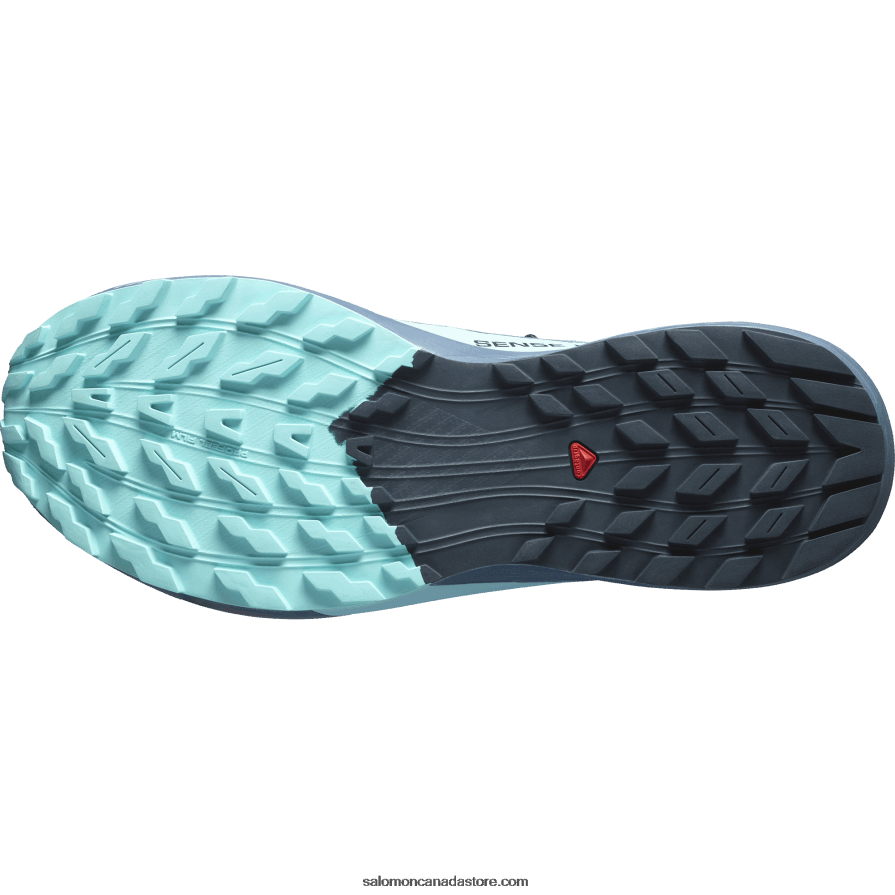 Men\'s Trail Running Shoes - Sense Ride 5 Gore-Tex Salomon Carbon/Blue Radiance/China Blue X6B4FZ1445