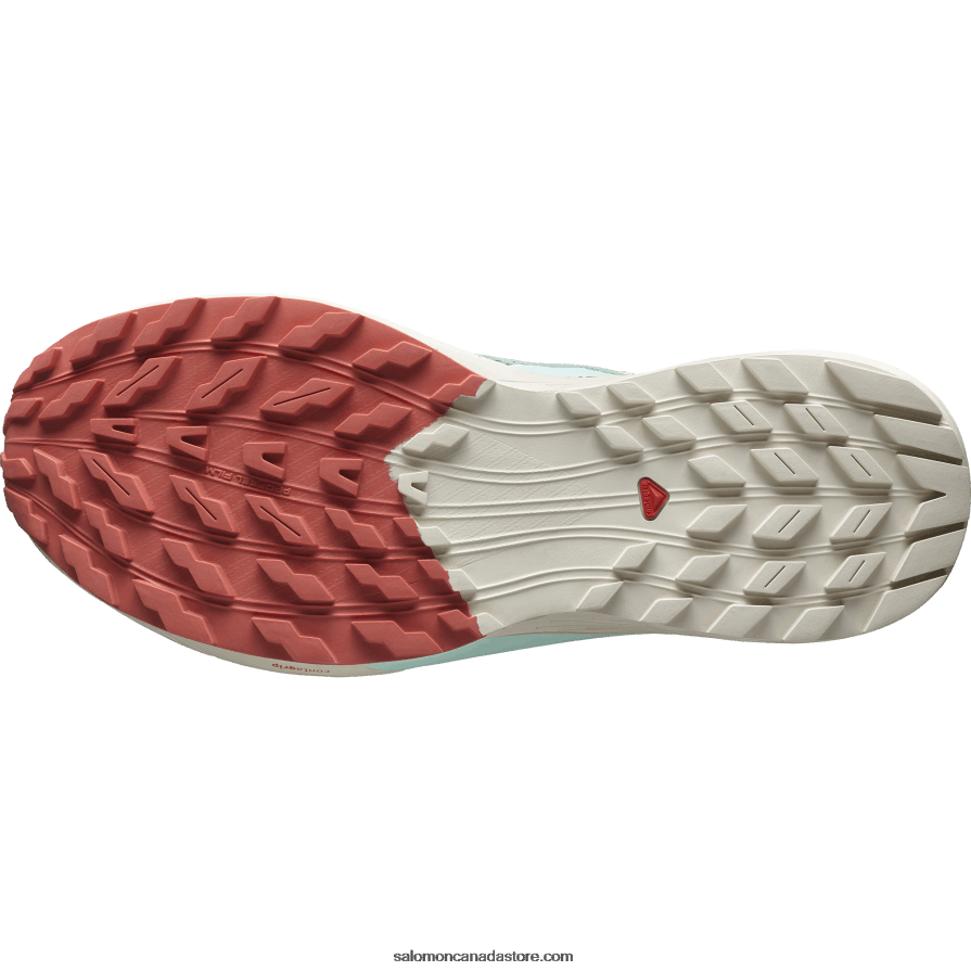 Men\'s Trail Running Shoes - Sense Ride 5 Salomon Lily Pad/Rainy Day/Bleached Aqua X6B4FZ1433