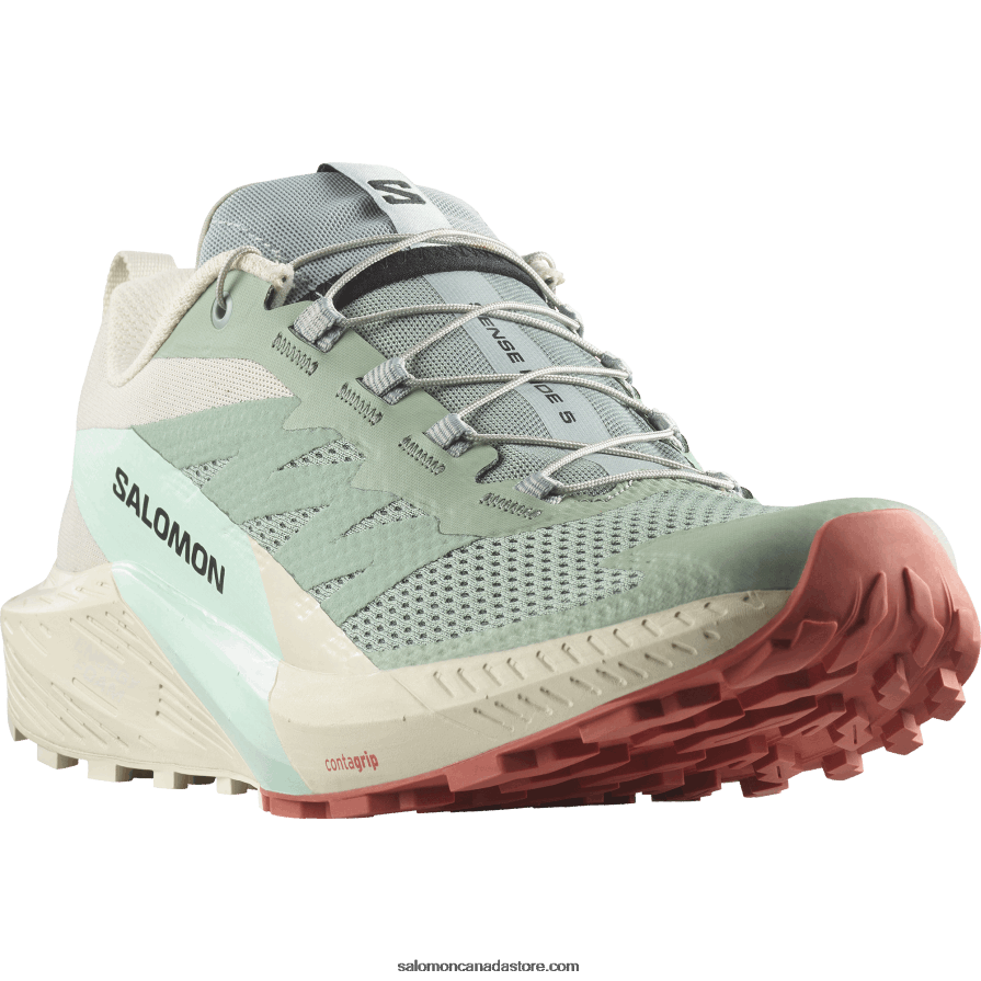 Men\'s Trail Running Shoes - Sense Ride 5 Salomon Lily Pad/Rainy Day/Bleached Aqua X6B4FZ1433