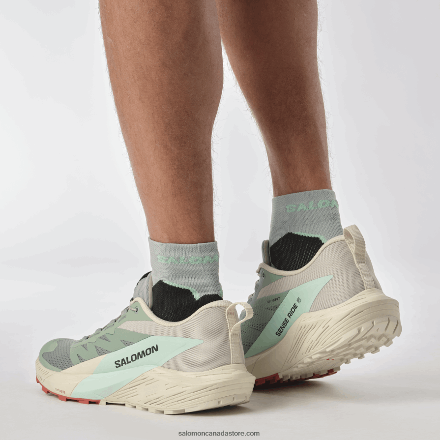 Men\'s Trail Running Shoes - Sense Ride 5 Salomon Lily Pad/Rainy Day/Bleached Aqua X6B4FZ1433