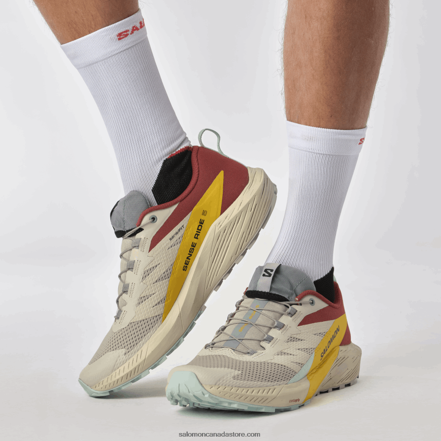 Men\'s Trail Running Shoes - Sense Ride 5 Salomon Rainy Day/Hot Sauce/Freesia X6B4FZ1435