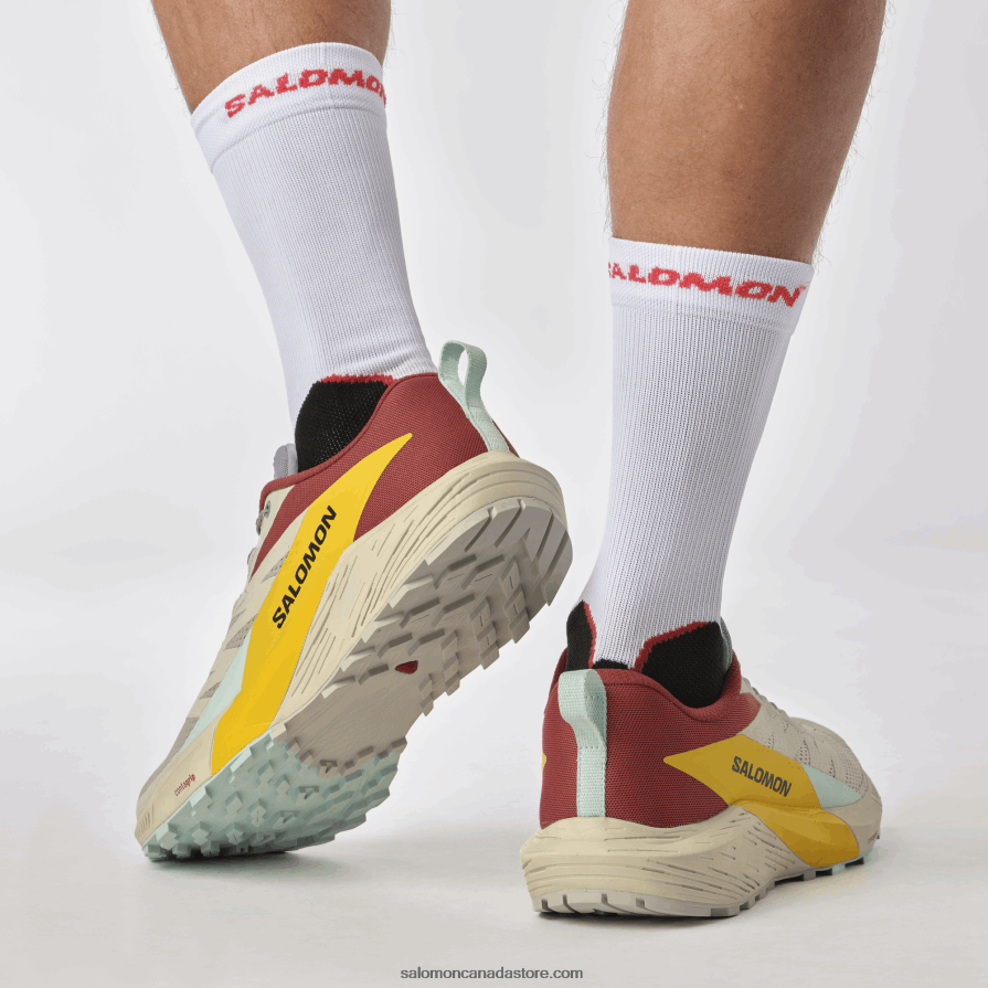 Men\'s Trail Running Shoes - Sense Ride 5 Salomon Rainy Day/Hot Sauce/Freesia X6B4FZ1435