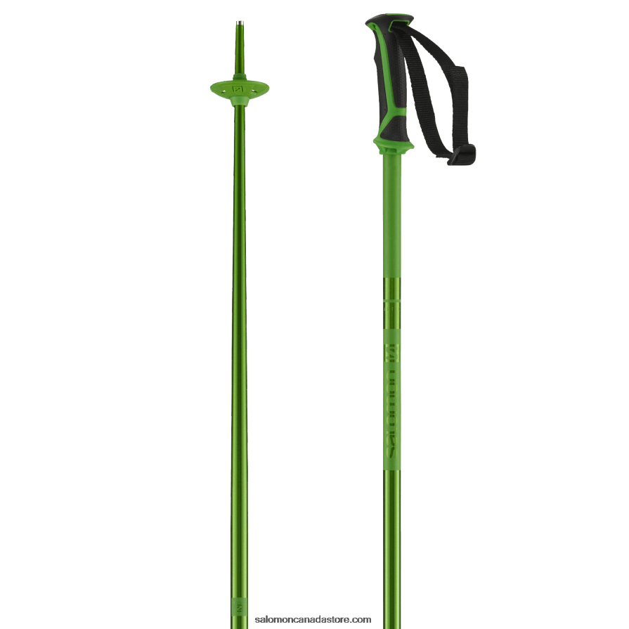 Men's Alpine Poles - Arctic Salomon Green X6B4FZ1258