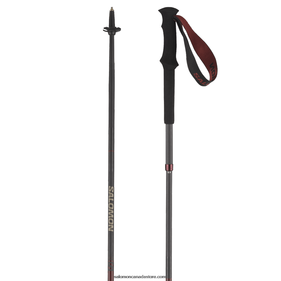 Women's 4 season Poles - Quest Carbon Foldable Salomon Madder X6B4FZ994