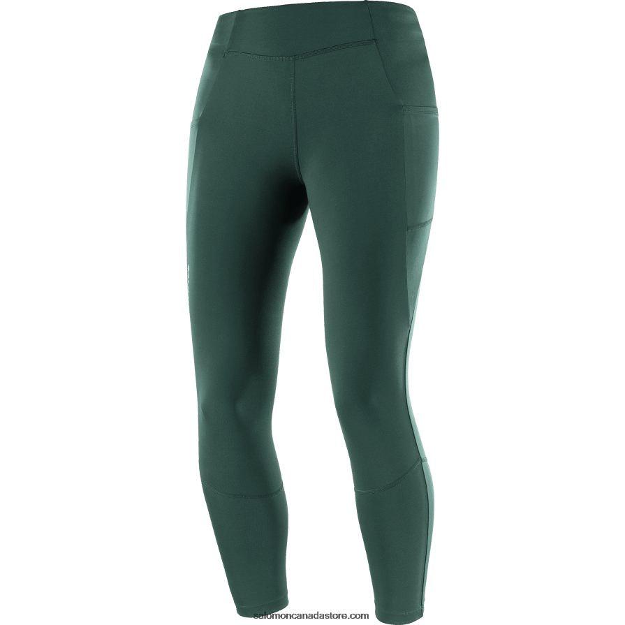 Women\'s 5/6 Tights - Cross Run 25 Salomon Ponderosa Pine X6B4FZ1160