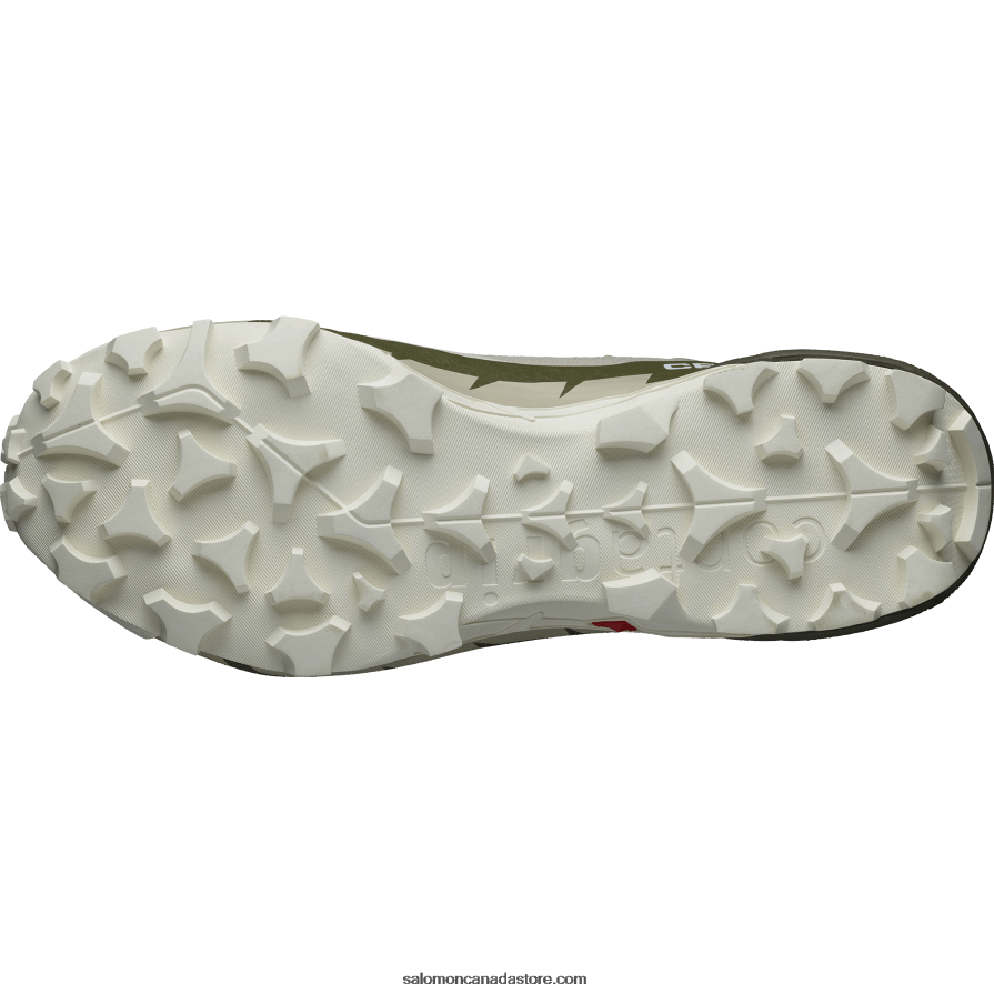 Women\'s Hiking Boots - Cross Hike 2 Mid Gore-Tex Salomon Feather Gray/Olive Night/White X6B4FZ736