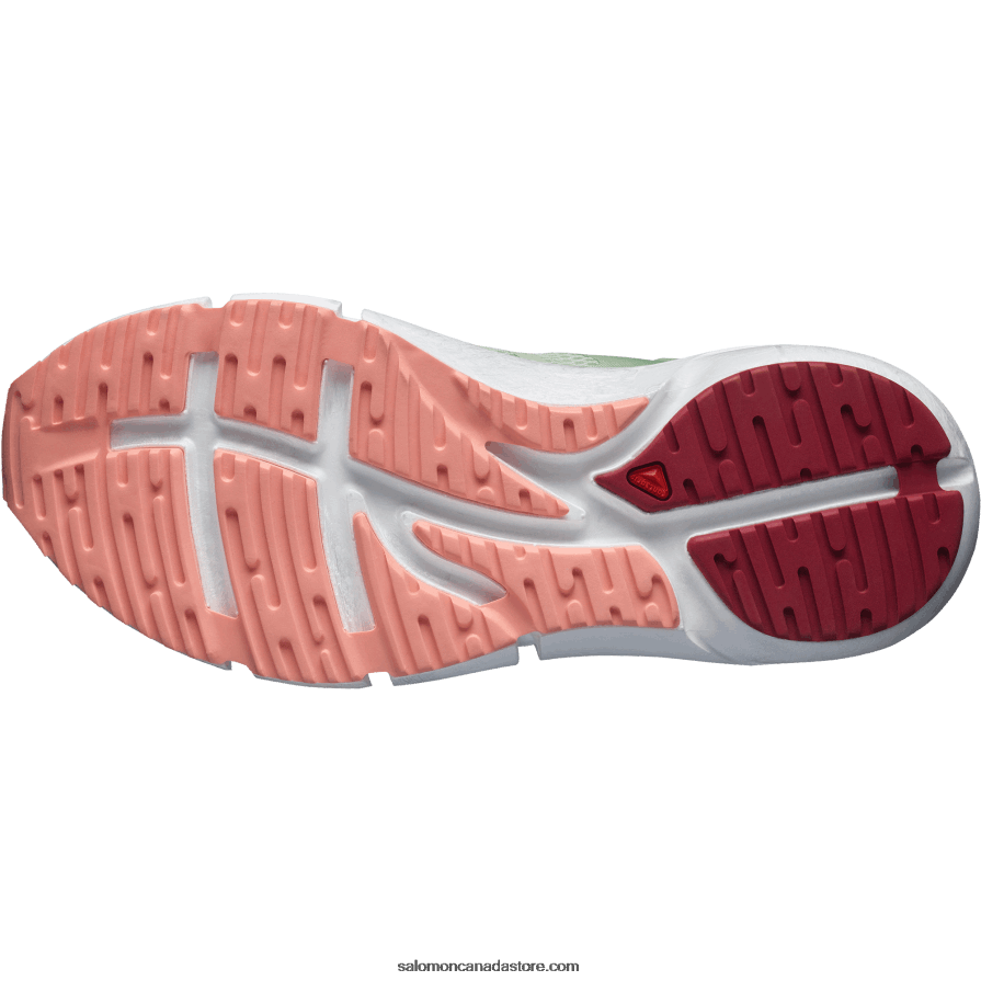 Women\'s Running Shoes - Predict 2 Salomon Spray/Granite Green/Blooming Dahlia X6B4FZ755