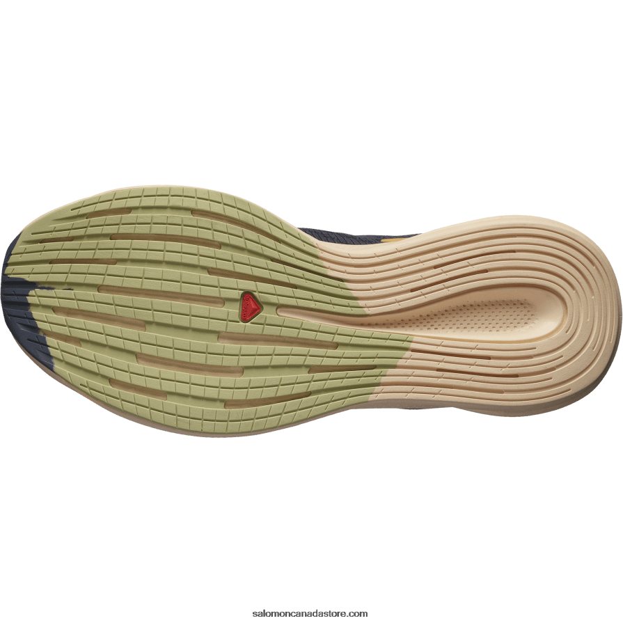 Women\'s Running Shoes - Spectur Salomon Ebony/Almond Cream/Leek Green X6B4FZ749