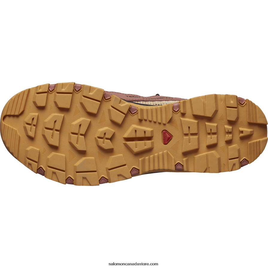 Women\'s Water Shoes - Techamphibian 5 Salomon Cedar Wood/Buckskin/Rose Cloud X6B4FZ789