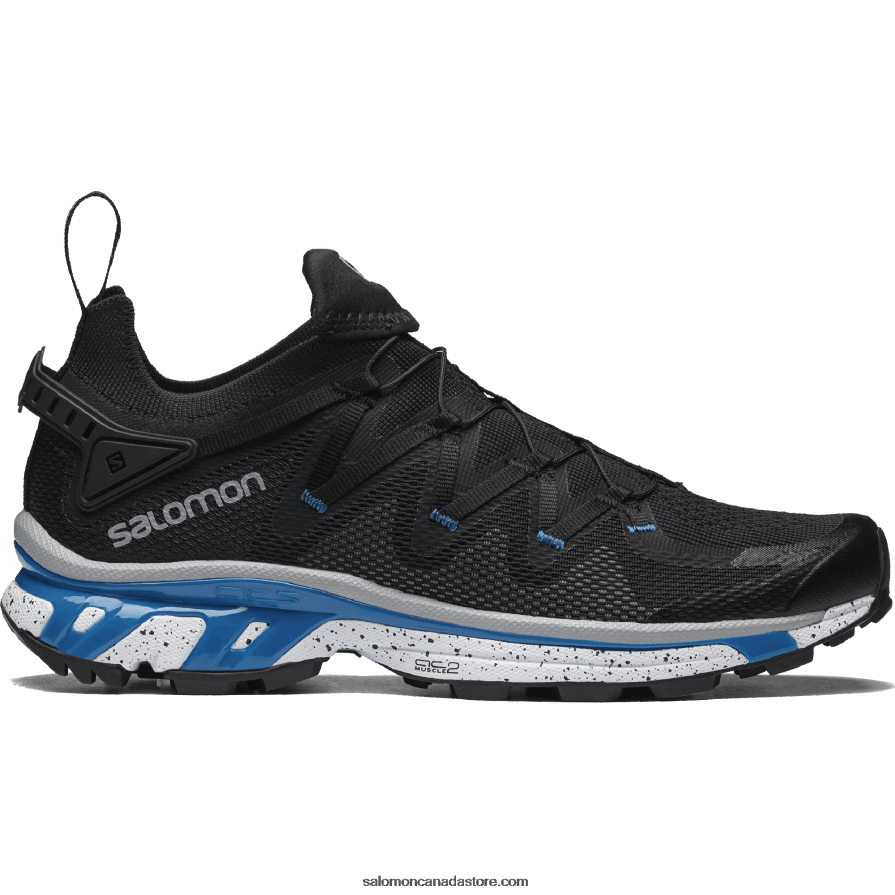 Black/White/Indigo Bunting