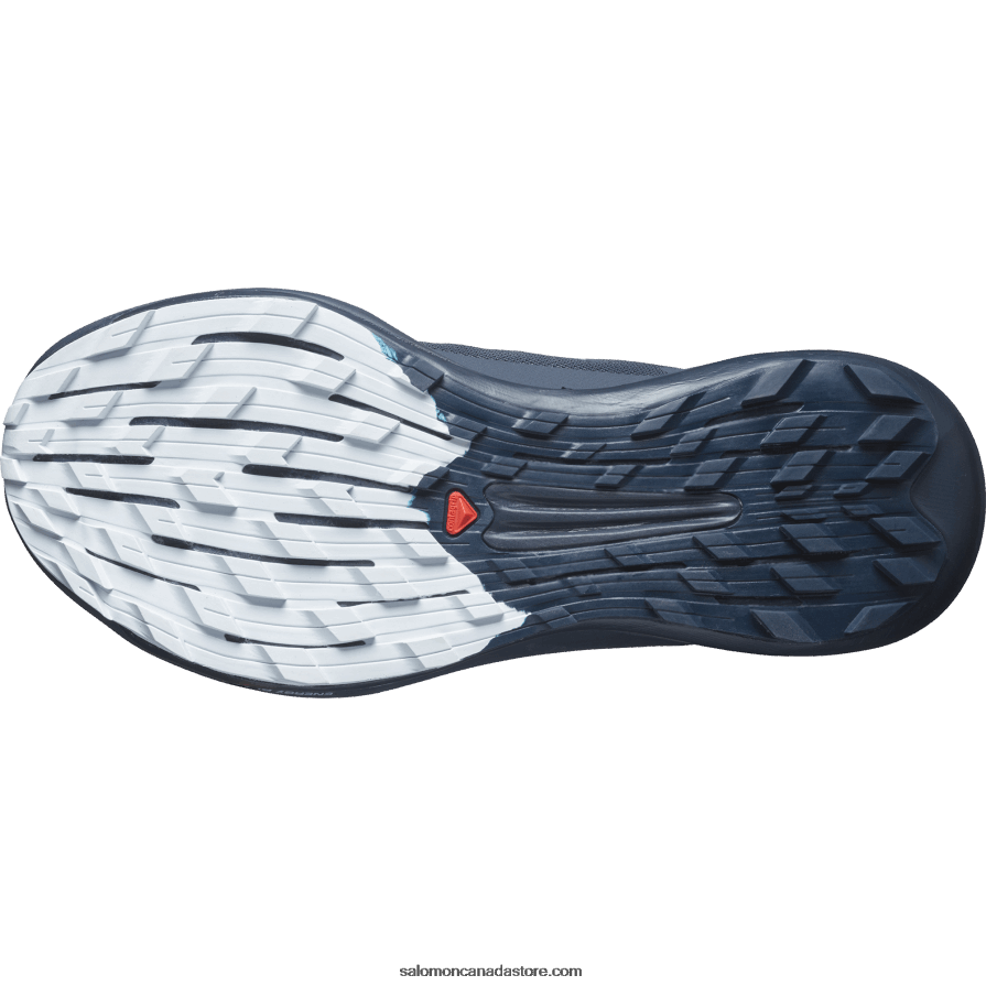 Women\'s Trail Running Shoes - Pulsar Trail Pro 2 Salomon Carbon/Orchid Bloom/Arctic Ice X6B4FZ1493