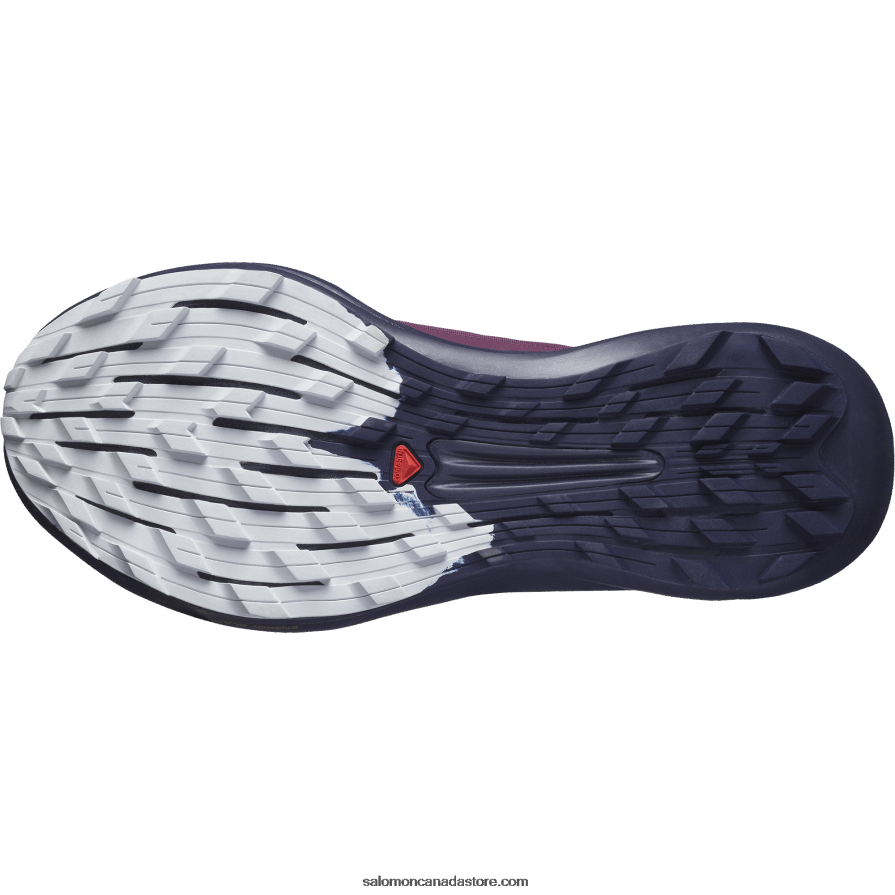Women\'s Trail Running Shoes - Pulsar Trail Pro Salomon Grape Wine/Night Sky/Lunar Rock X6B4FZ1532