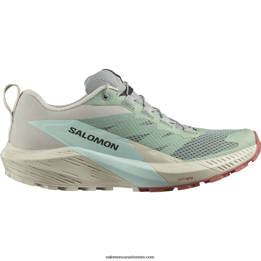 Women's Trail Running Shoes - Sense Ride 5 Salomon Lily Pad/Rainy Day/Bleached Aqua X6B4FZ1496