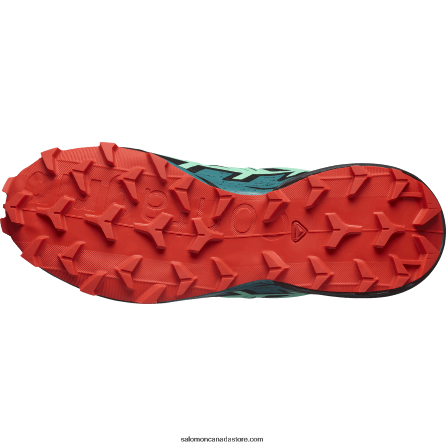 Women\'s Trail Running Shoes - Speedcross 6 Salomon Black/Biscay Green/Fiery Red X6B4FZ1503
