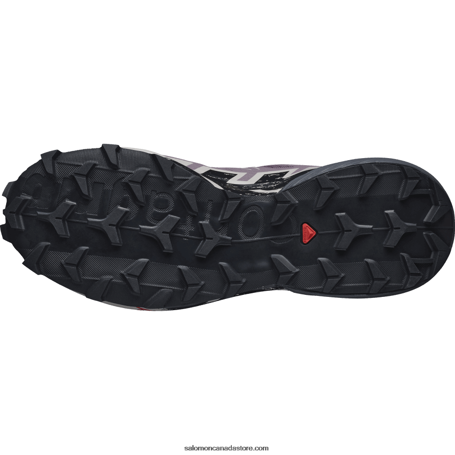 Women\'s Trail Running Shoes - Speedcross 6 Salomon Moonscape/Black/Ashes Of Roses X6B4FZ1504