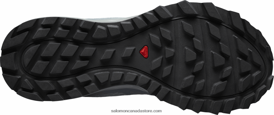 Women\'s Trail Running Shoes - Trailster 2 Salomon Lead/Stormy Weather/Icy Morn X6B4FZ1547