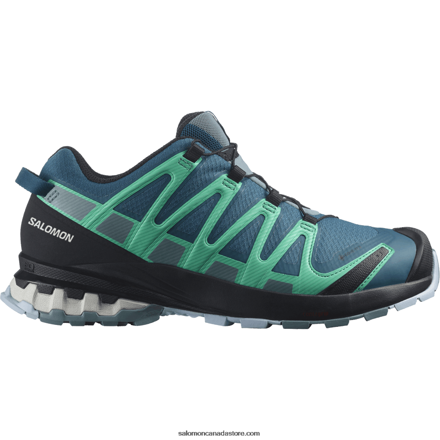 Women's Trail Running Shoes - Xa Pro 3D V8 Gore-Tex Salomon Legion Blue/Trooper/Mint Leaf X6B4FZ1539