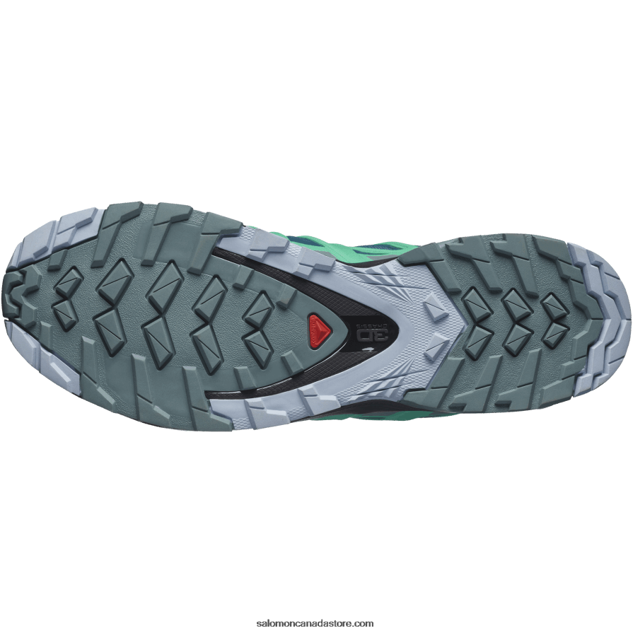 Women\'s Trail Running Shoes - Xa Pro 3D V8 Gore-Tex Salomon Legion Blue/Trooper/Mint Leaf X6B4FZ1539