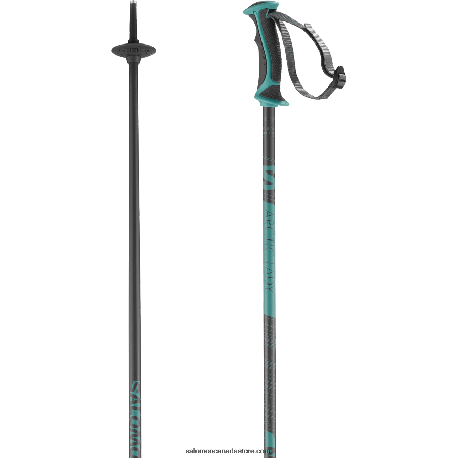 Women's Alpine Poles - Arctic Lady Salomon Grey/Green X6B4FZ1295