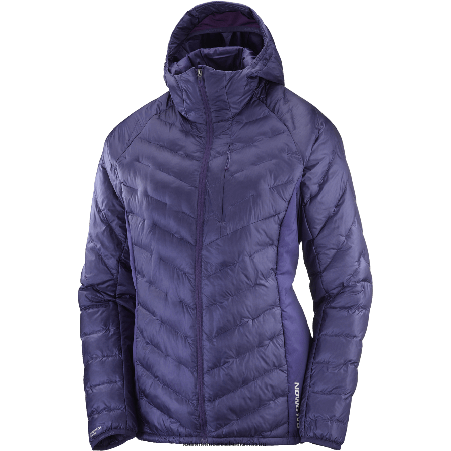 Women\'s Insulated Jacket Hoodie - Outline Primaloft Salomon Astral Aura X6B4FZ834