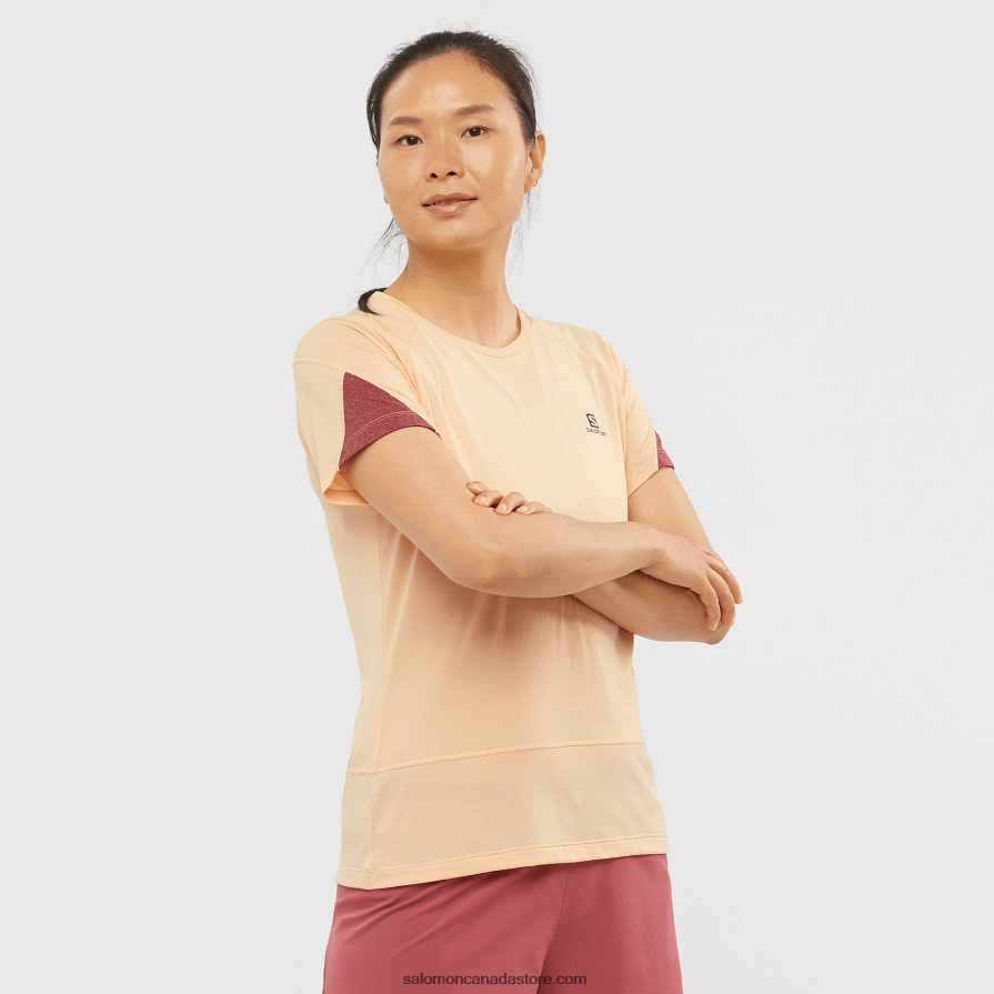 Women's Short Sleeve T-Shirt - Cross Run Salomon Apricot Ice/Heather/Cabernet X6B4FZ891