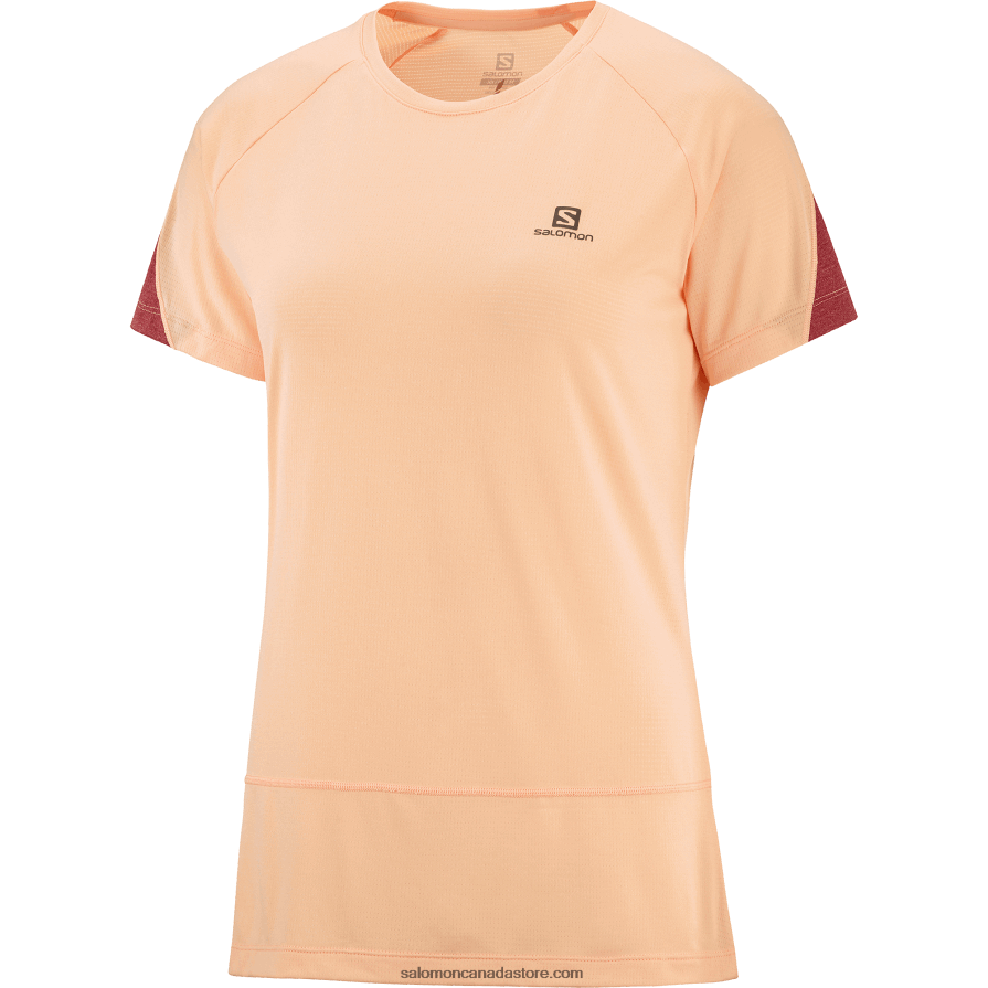 Women\'s Short Sleeve T-Shirt - Cross Run Salomon Apricot Ice/Heather/Cabernet X6B4FZ891