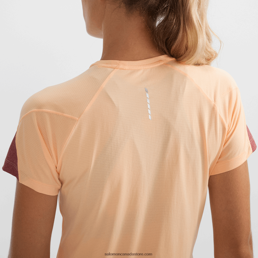 Women\'s Short Sleeve T-Shirt - Cross Run Salomon Apricot Ice/Heather/Cabernet X6B4FZ891